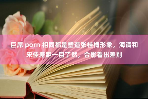 巨屌 porn 相同都是塑造张桂梅形象，海清和宋佳差距一目了然，合影看出差别