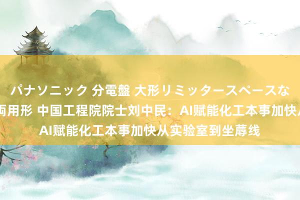 パナソニック 分電盤 大形リミッタースペースなし 露出・半埋込両用形 中国工程院院士刘中民：AI赋能化工本事加快从实验室到坐蓐线