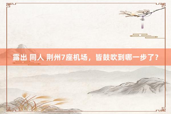 露出 同人 荆州7座机场，皆鼓吹到哪一步了？